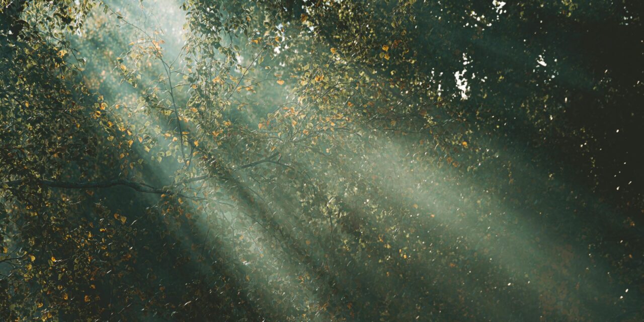 When Doubt Creeps In: How Jesus Brings Real Peace