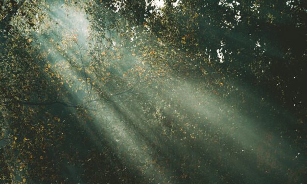 When Doubt Creeps In: How Jesus Brings Real Peace