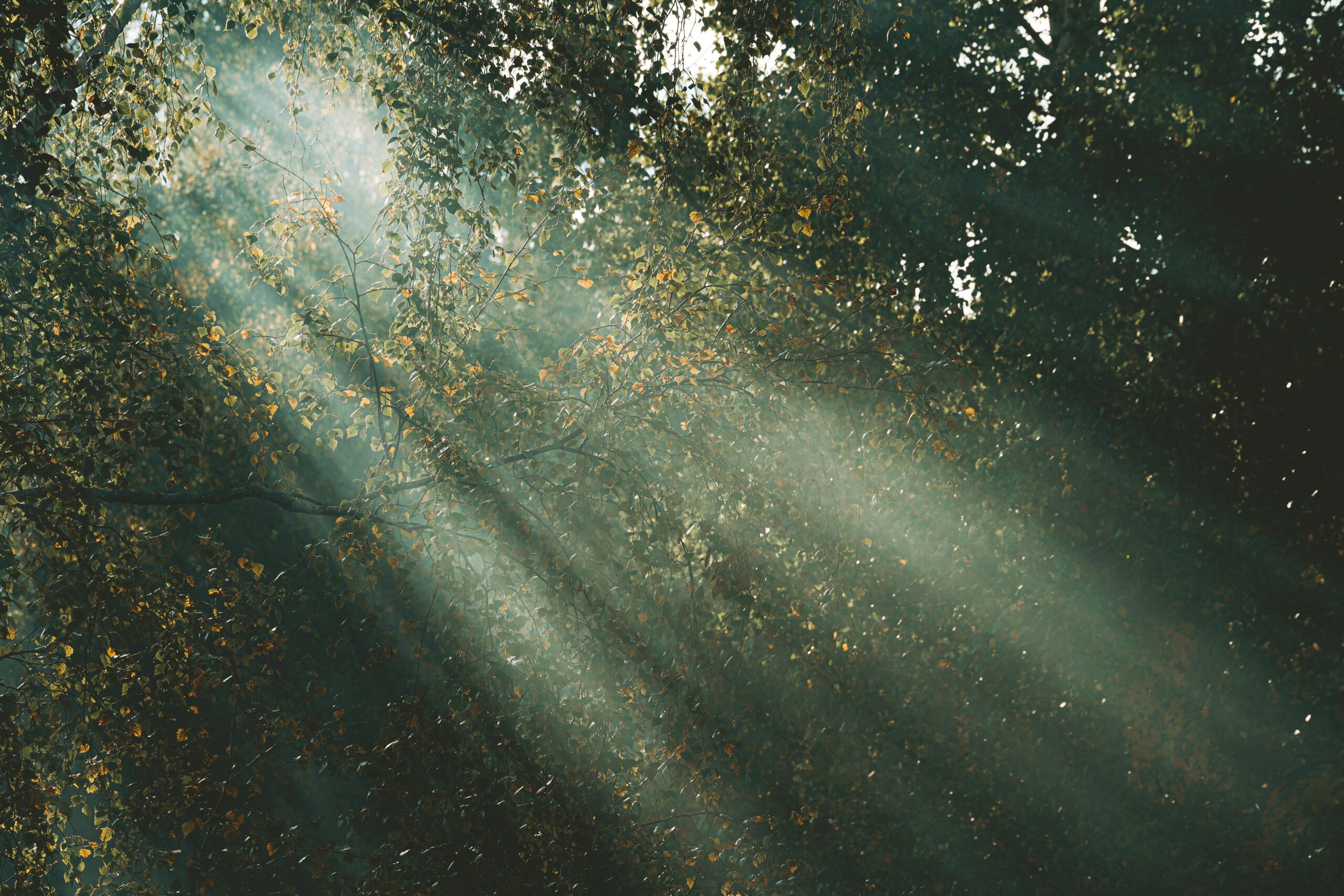 When Doubt Creeps In: How Jesus Brings Real Peace