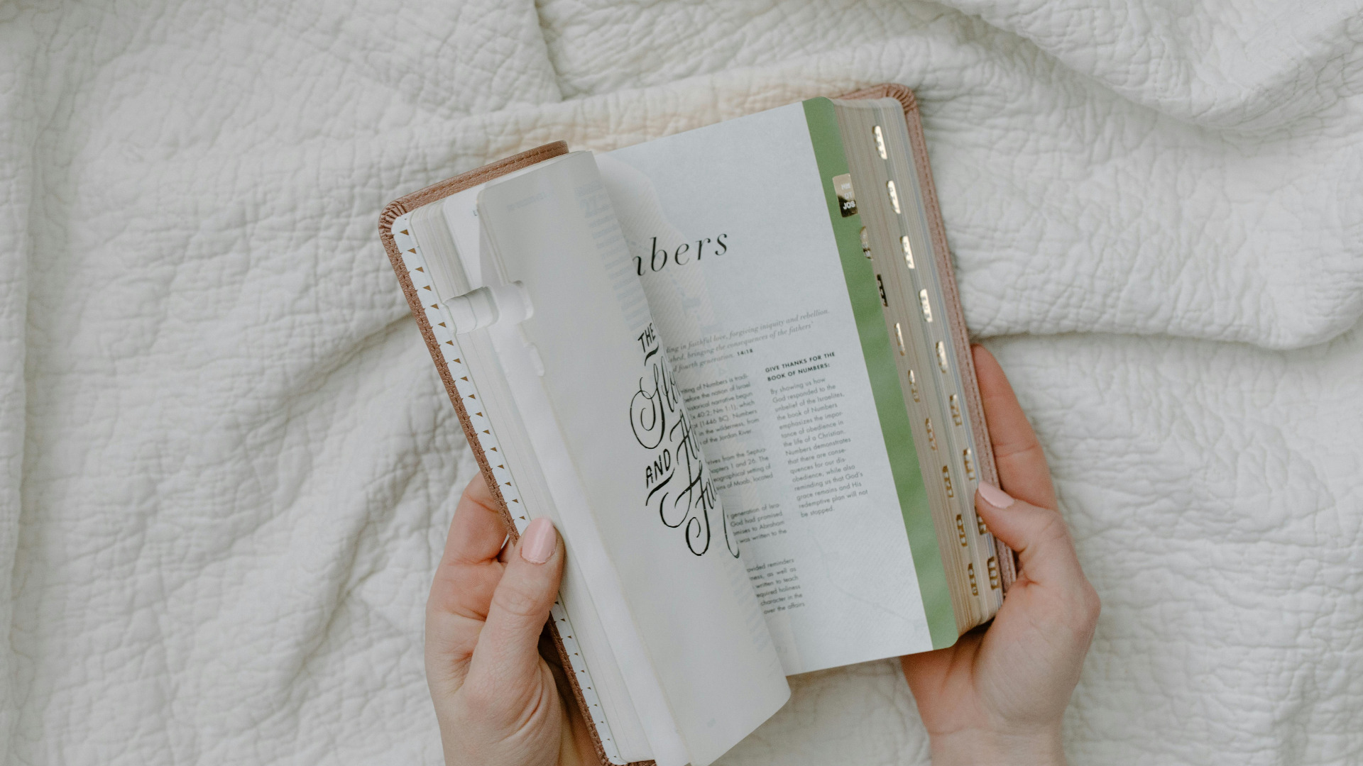 Developing Discipline in the Word: Lessons from the book of Proverbs